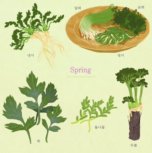 베이스오브바디 이미지
