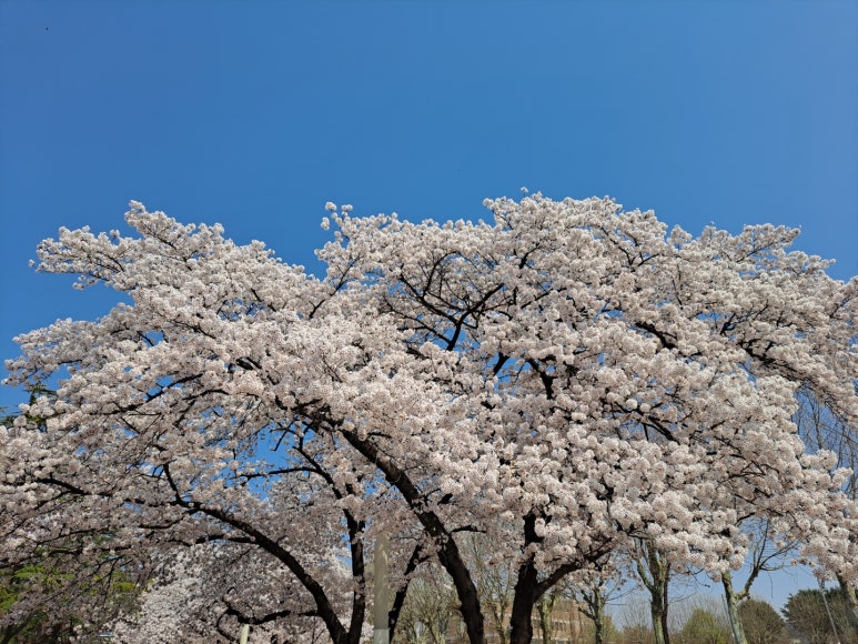 한주행정사 이미지