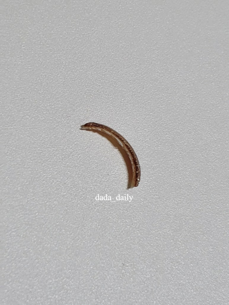 네일디유 이미지