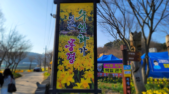 수선화사주카페 이미지