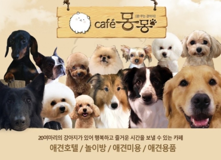 카페몽몽 이미지