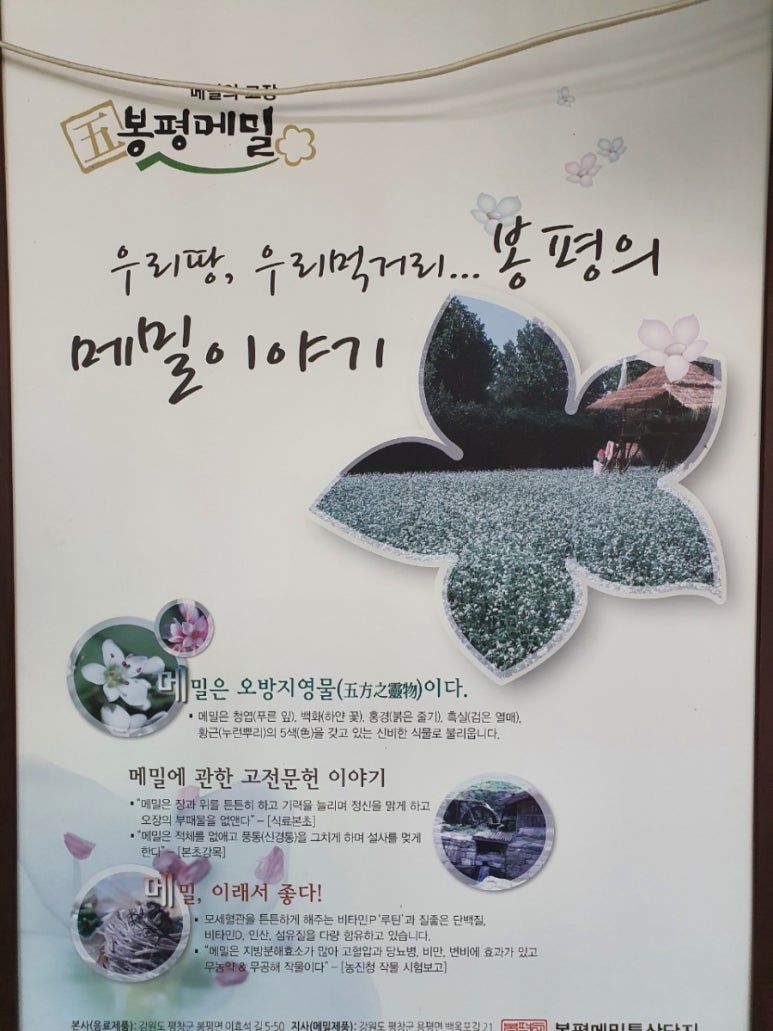 술샘막국수 이미지