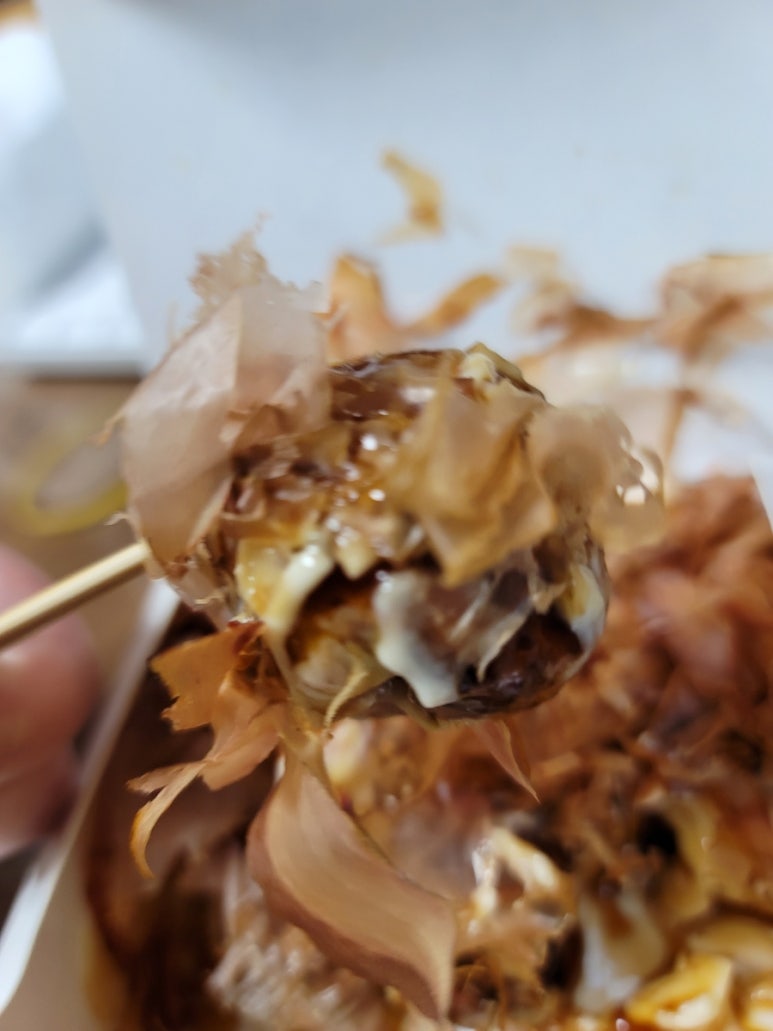 타코야끼인문어 이미지