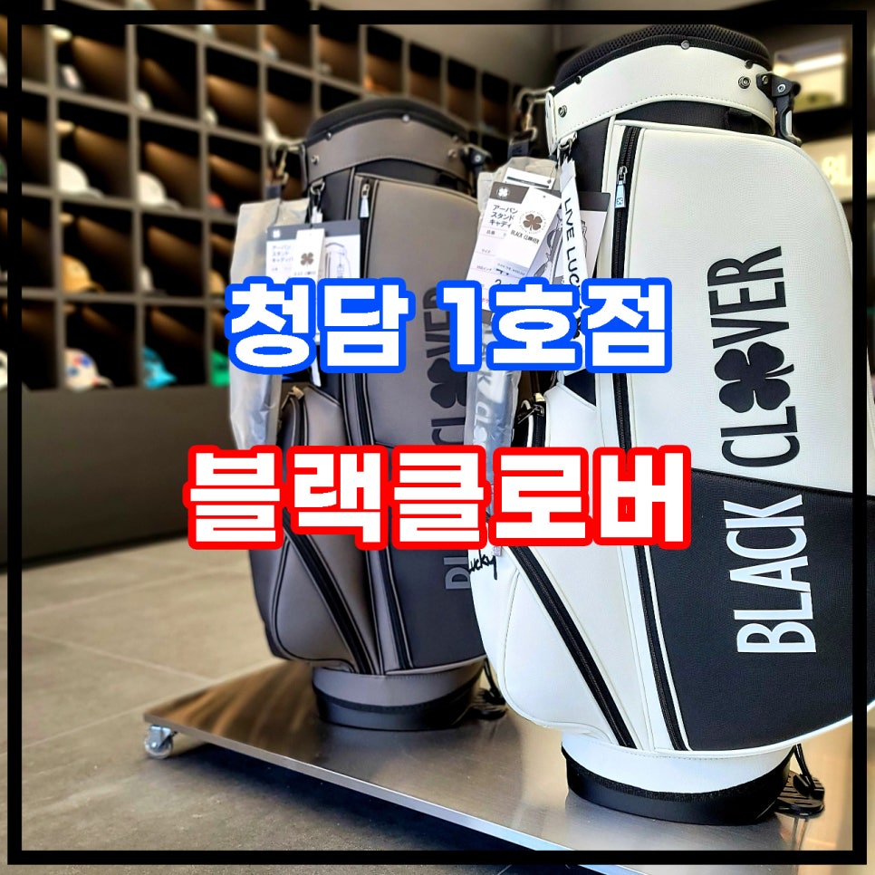 비씨케이 이미지