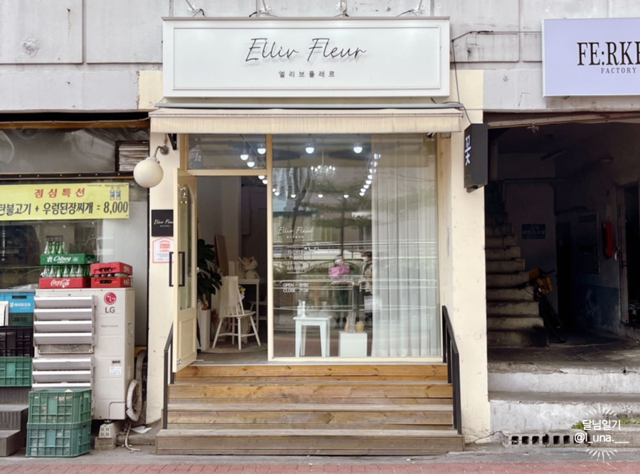 엘리브플레르 이미지