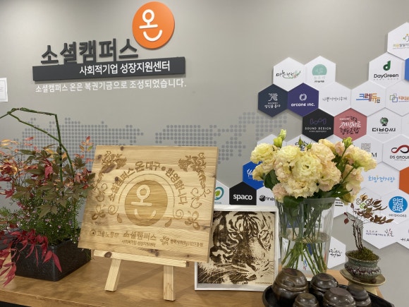 법인계수나무 이미지
