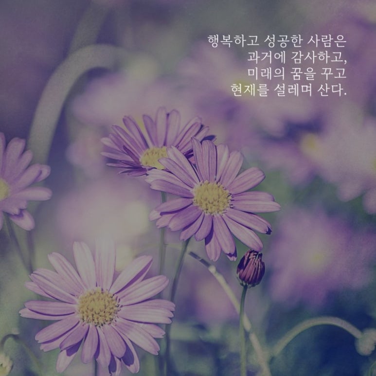 위너스아카데미 이미지