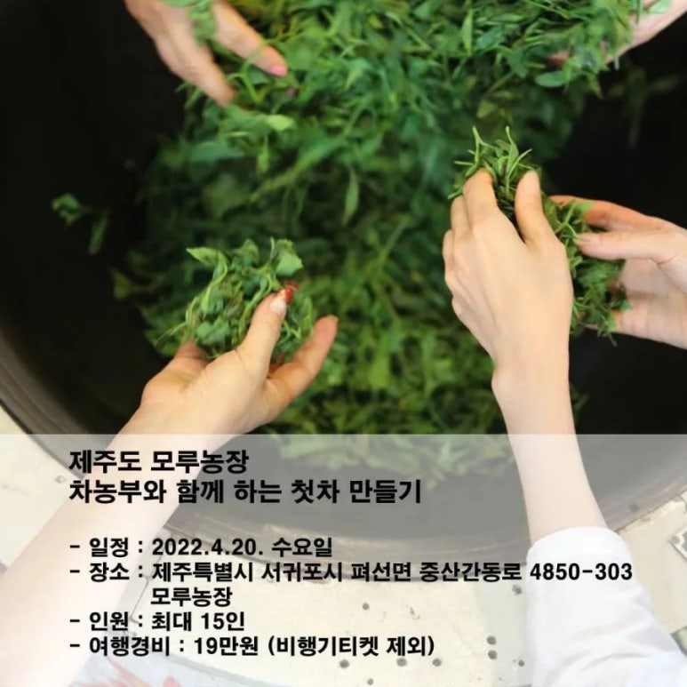 모루농장 이미지