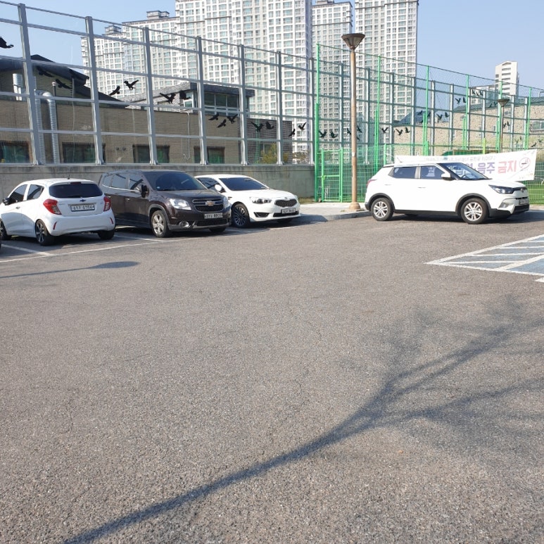 남양 유아숲체험원 이미지