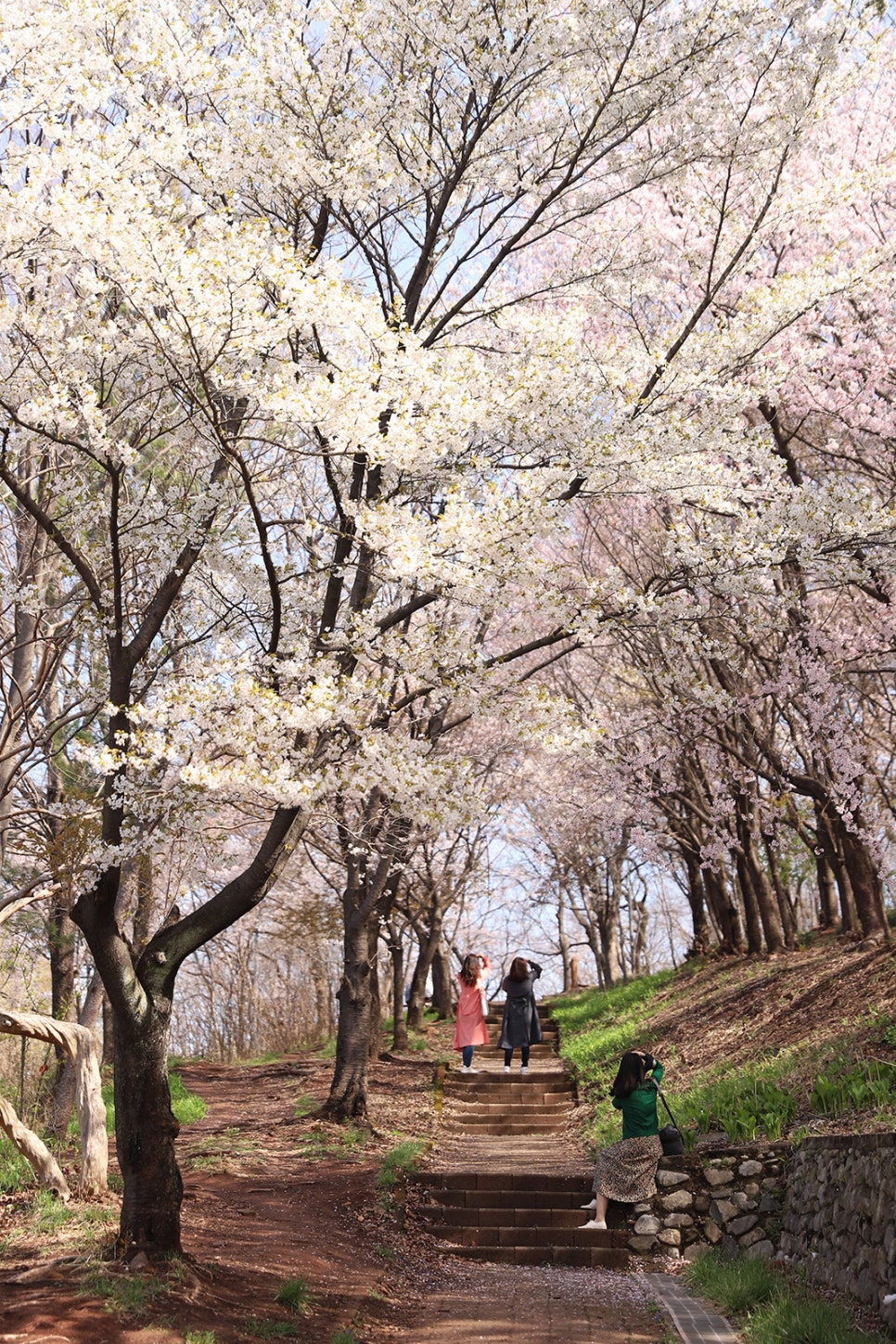 침산공원 이미지