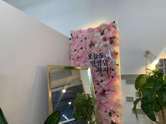 명가인셀덤 이미지
