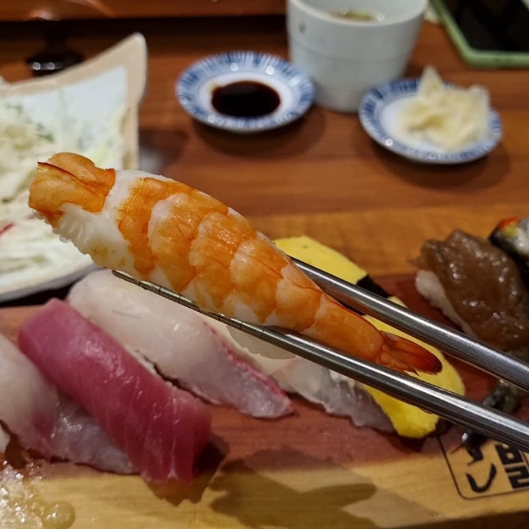 홍대 수족관 이미지