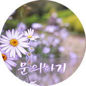 이피다 이미지