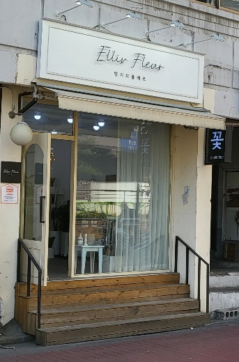 엘리브플레르 이미지