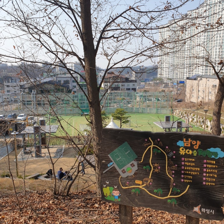 남양 유아숲체험원 이미지