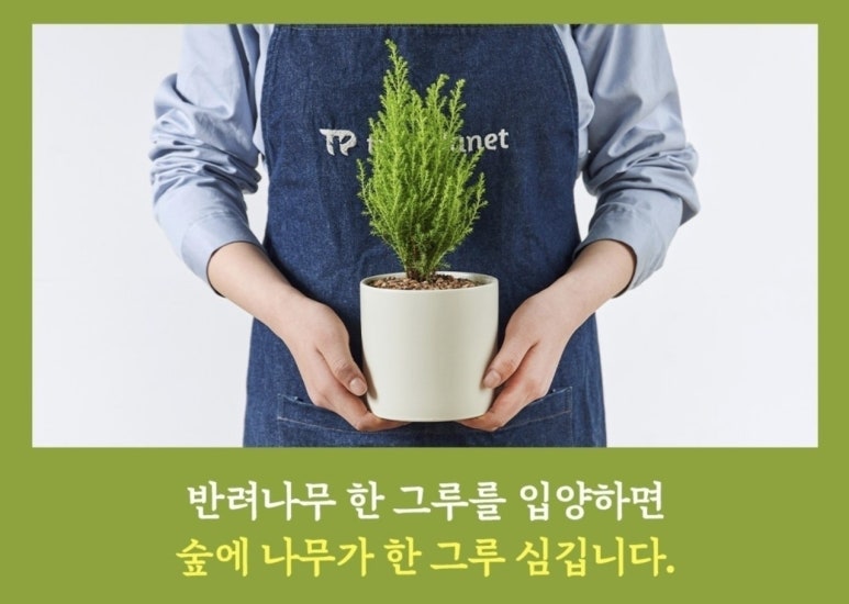 나무플래닛 이미지
