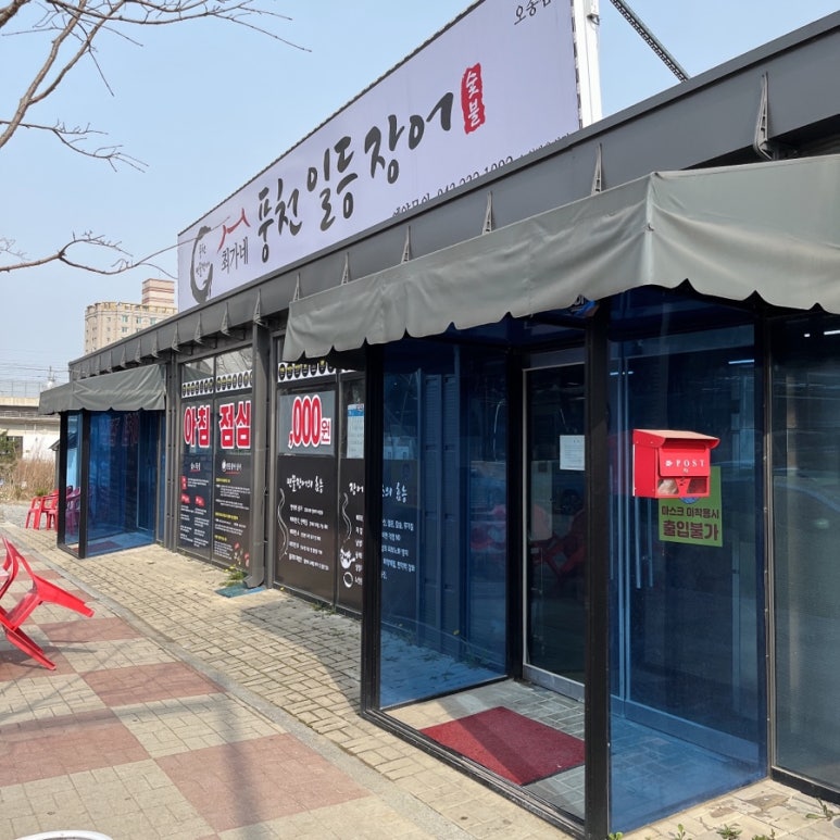 풍천일등장어 이미지