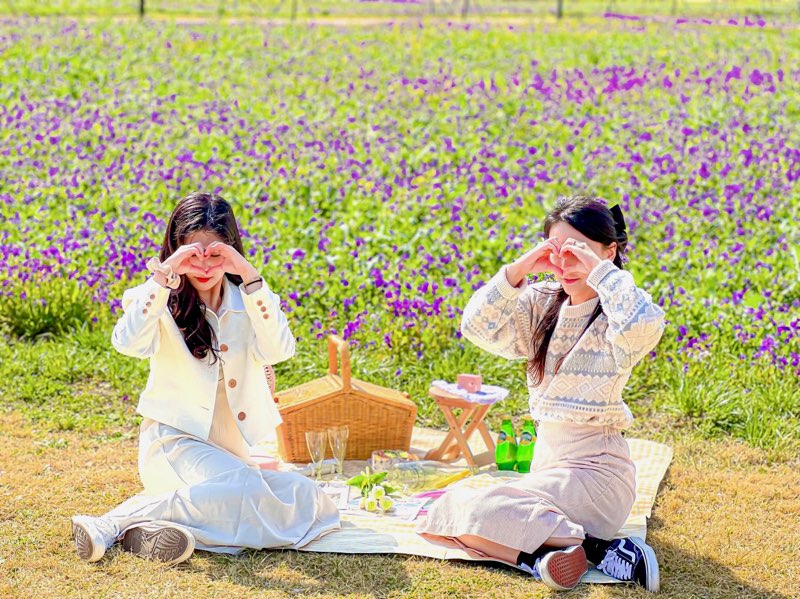 청년피크닉 이미지