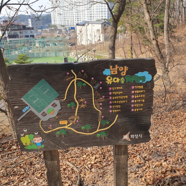 남양 유아숲체험원 이미지