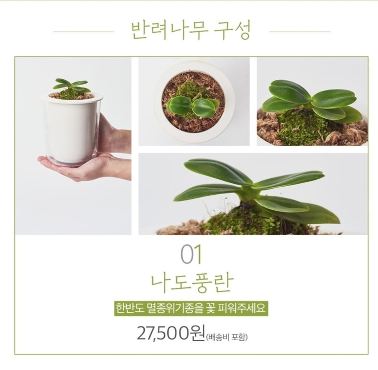 나무플래닛 이미지