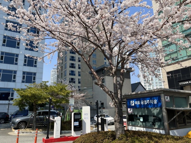지에스칼텍스(달맞이주유소 이미지