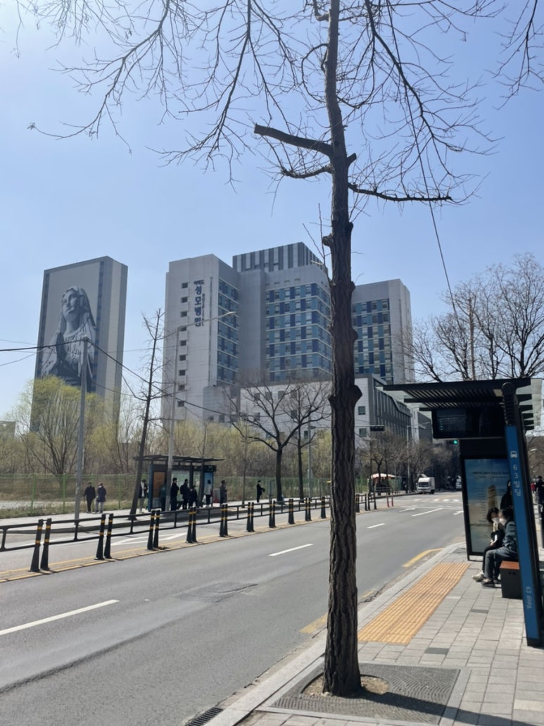 도롱제과 이미지