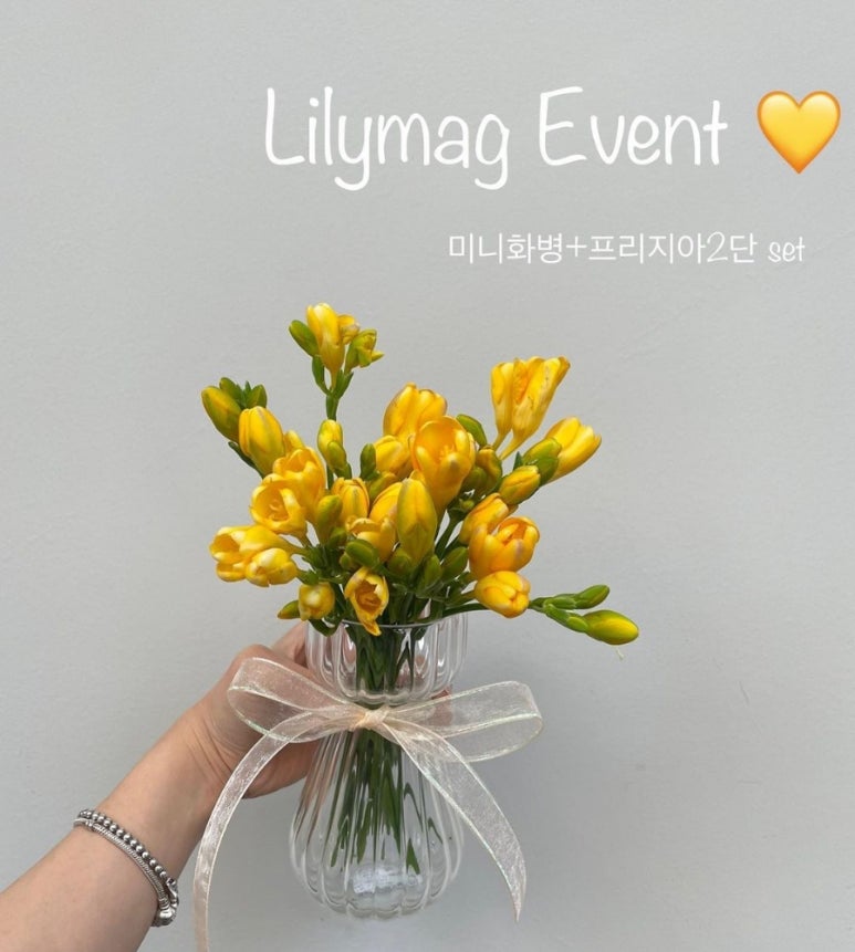 릴리맥디타워돈의문 이미지