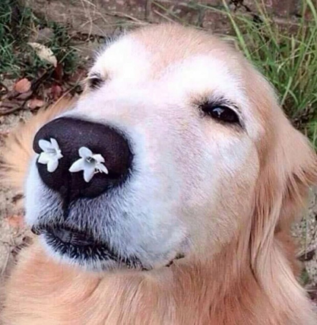 마당한정식 이미지