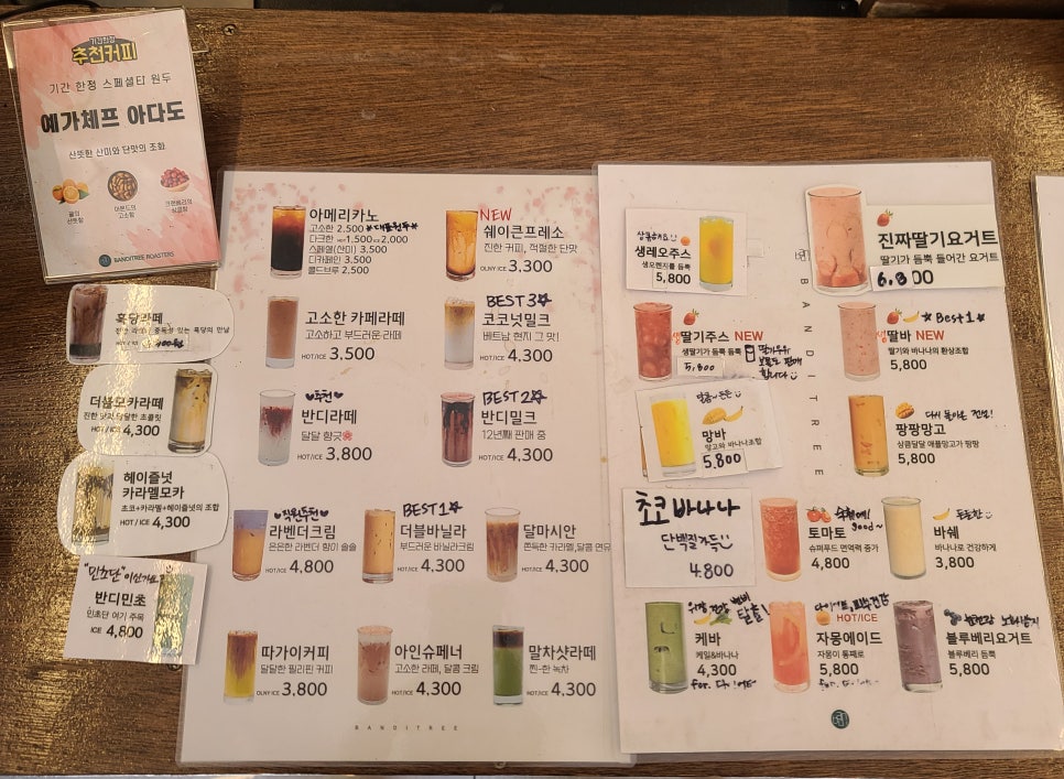 카페트리커피나무 이미지