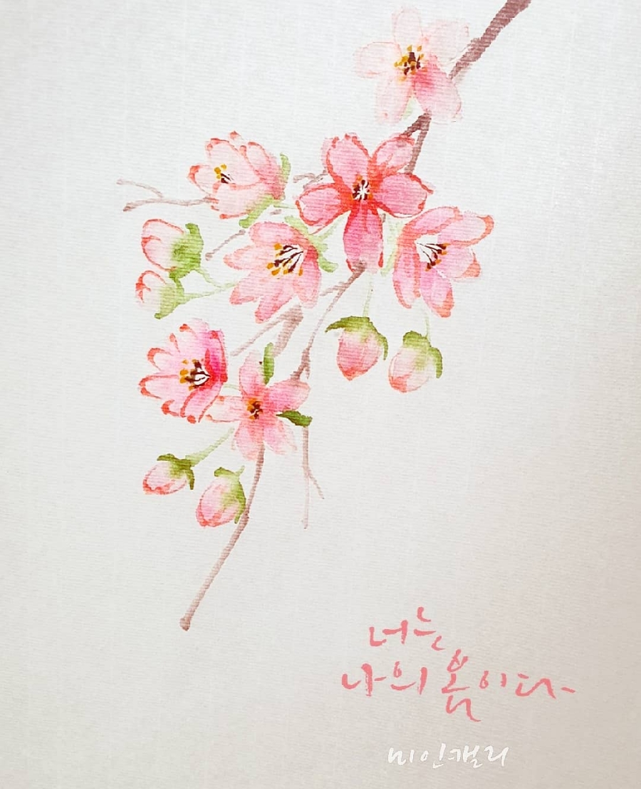 대구혁신미인캘리그라피 이미지