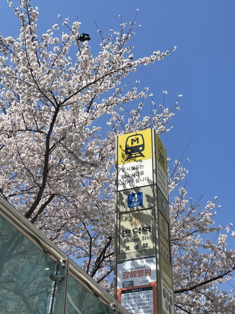 냠냠만덕 이미지