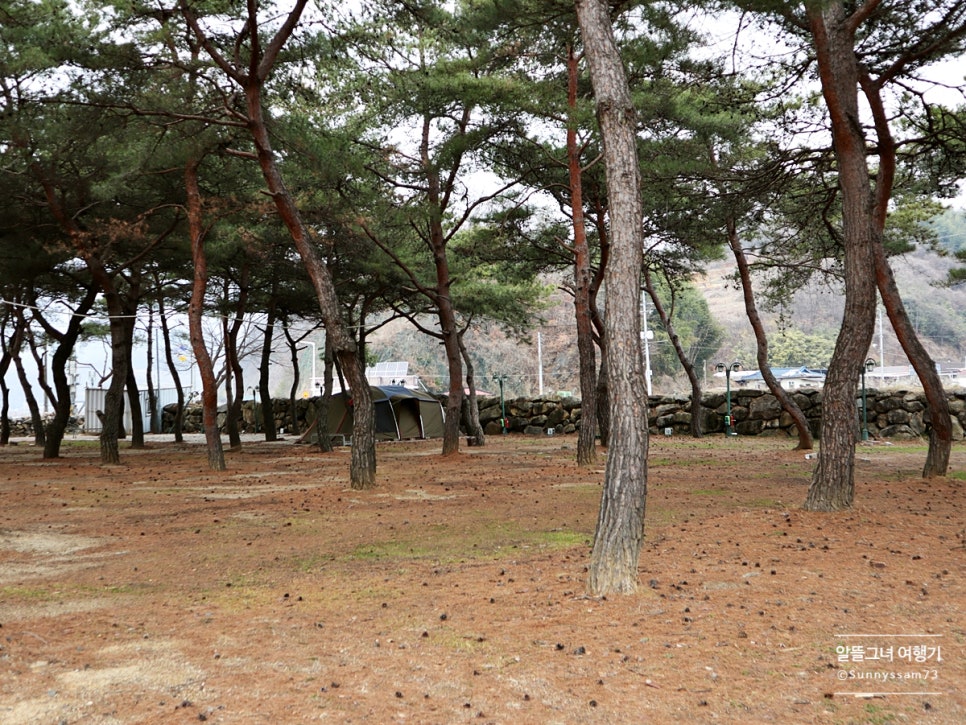 성보촌 캠핑장 이미지
