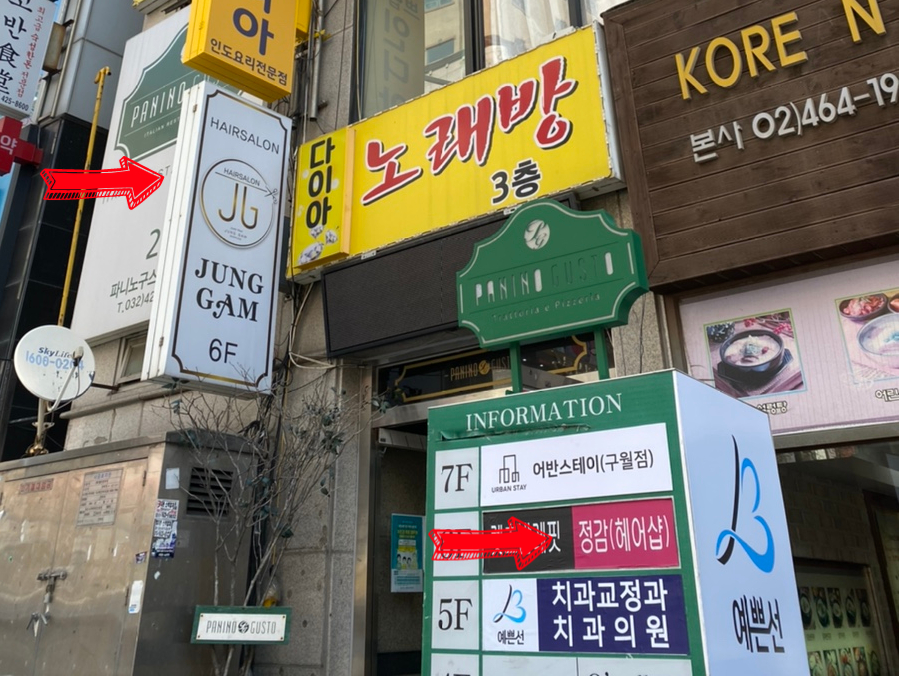 늘파니노 이미지