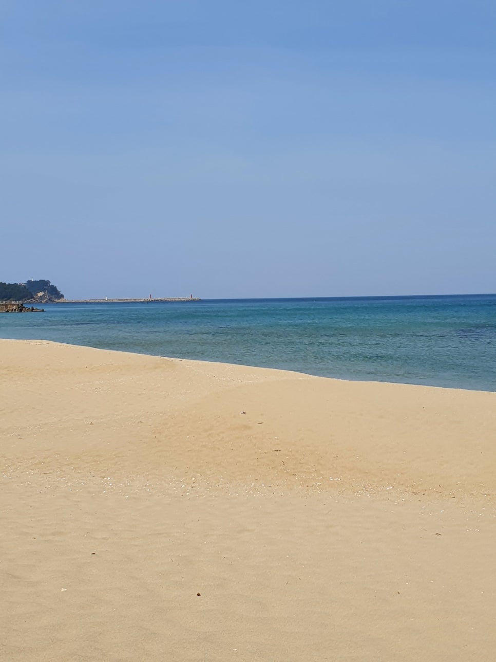 카페동호 이미지