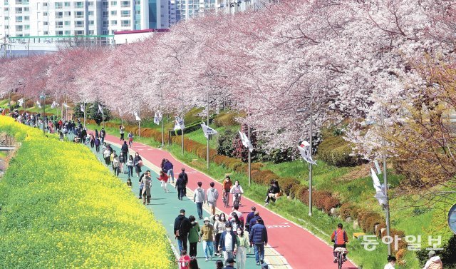 벚꽃역 이미지