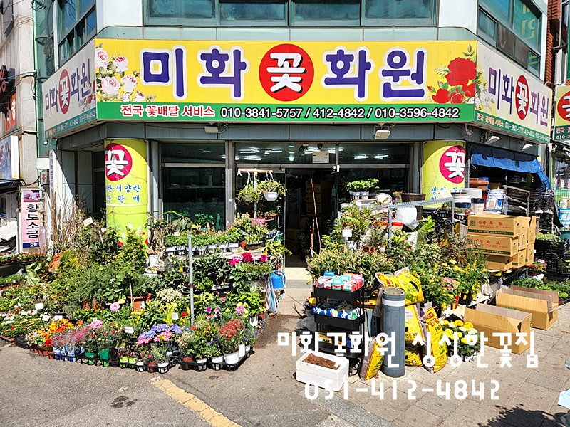 미화화원 이미지