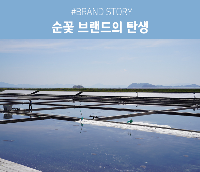 소망영농조합법인 이미지