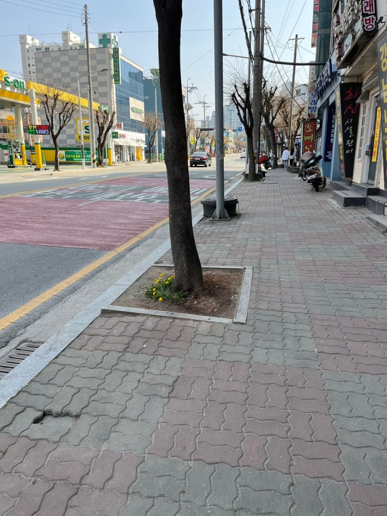 비룡각 이미지