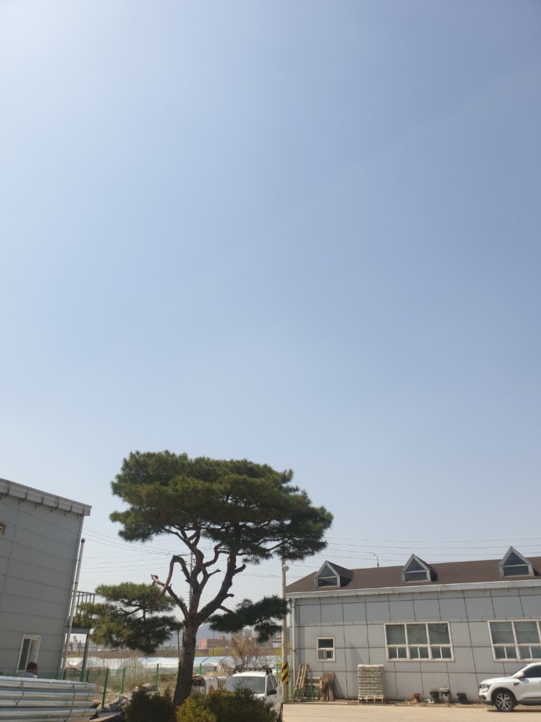 보쌈백프로 이미지