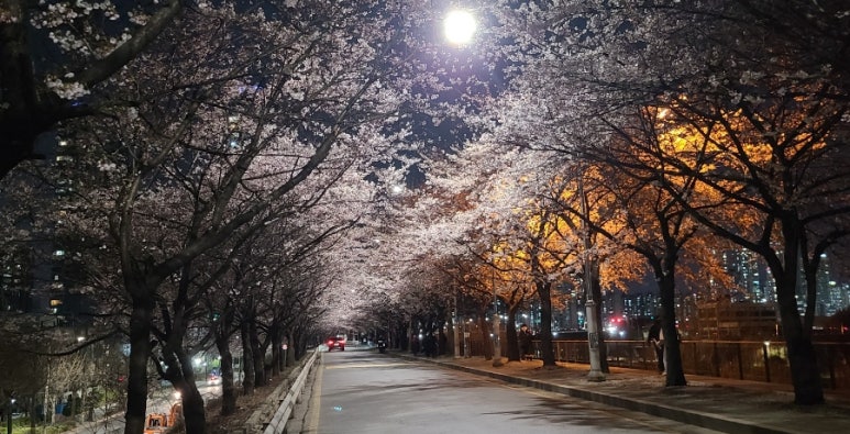 장안산업기계 이미지