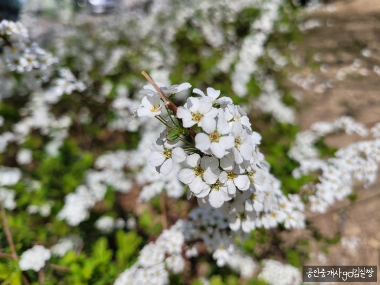 송경종합시장 이미지