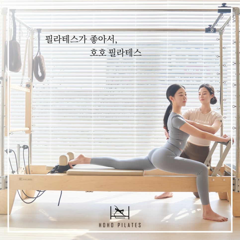 호호플러스 이미지