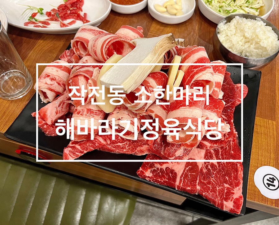 작전동소한마리 이미지