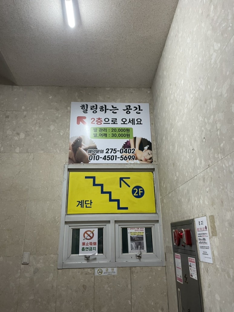 24시페파민트 이미지