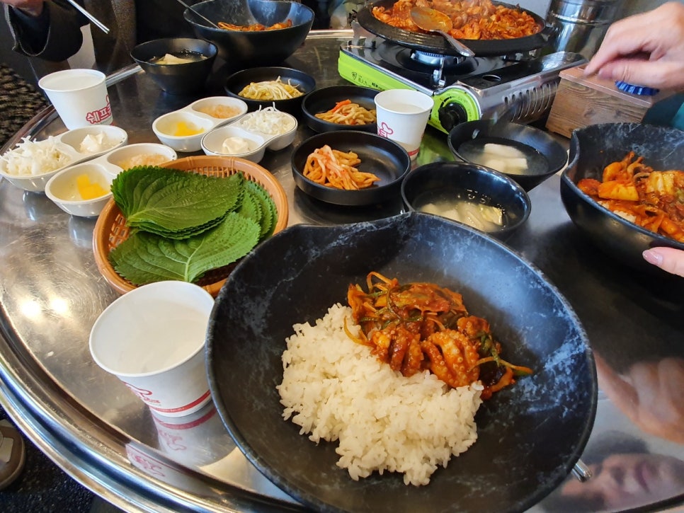 쭈꾸미이선생 이미지