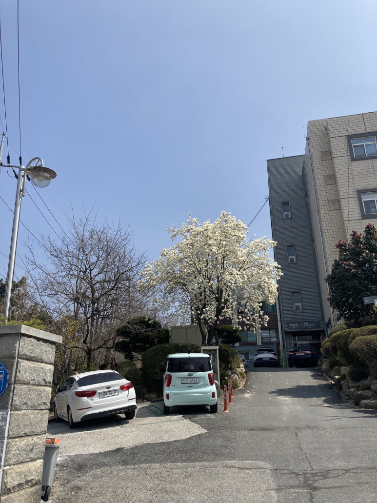 이디야태백 이미지