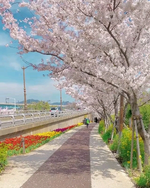 피플앤넘버원 이미지