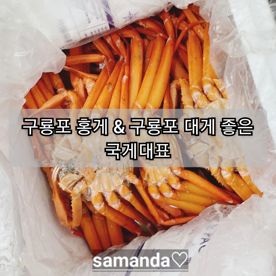 국게대표 이미지