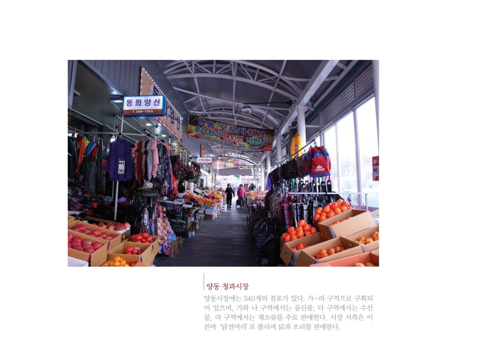 양동청과 이미지