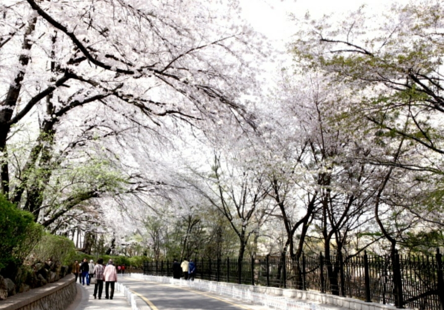 정수수산 이미지